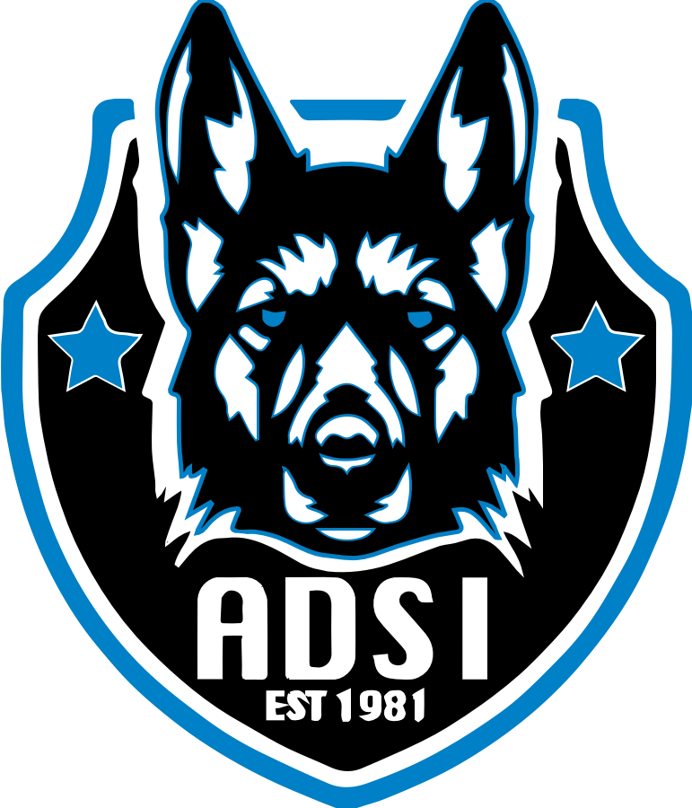 ADSi Badge Logo